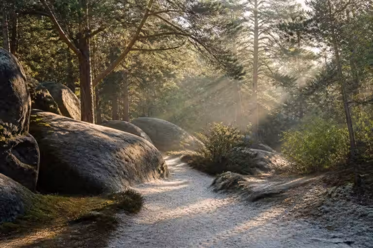découvrez les sables du cul du chien à fontainebleau avec notre guide complet : histoire, activités, conseils pratiques et spots incontournables pour une visite réussie.